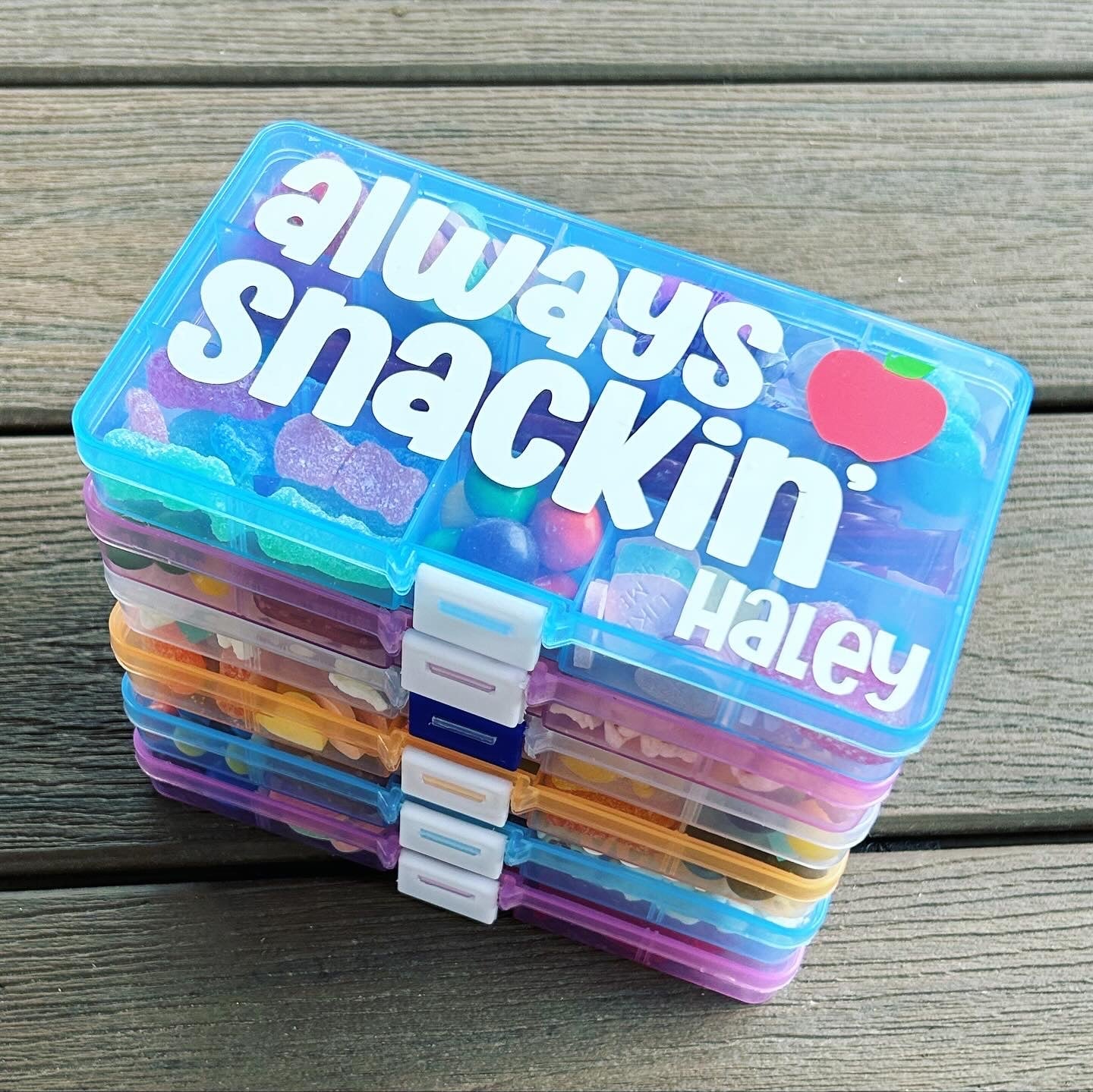 Travel Snack Box (Mini)