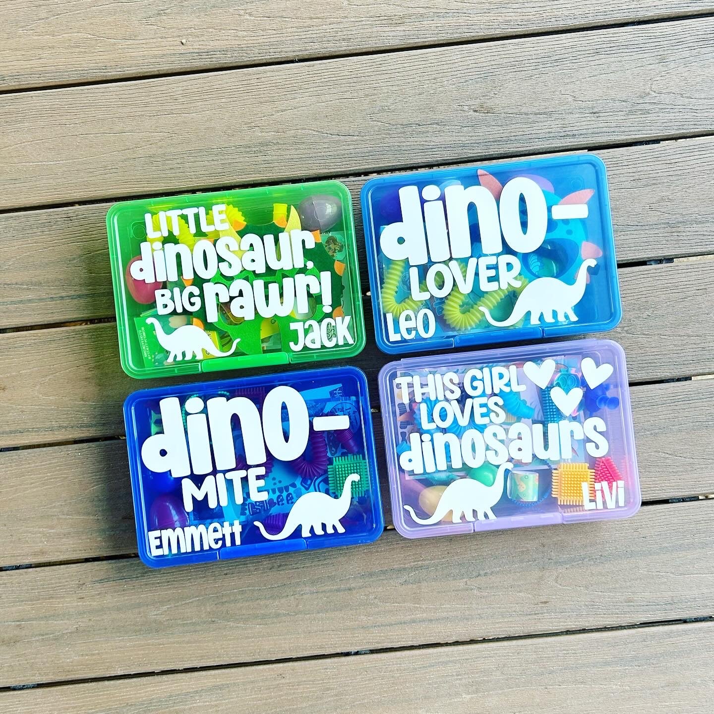 Dinosaur Activity Box