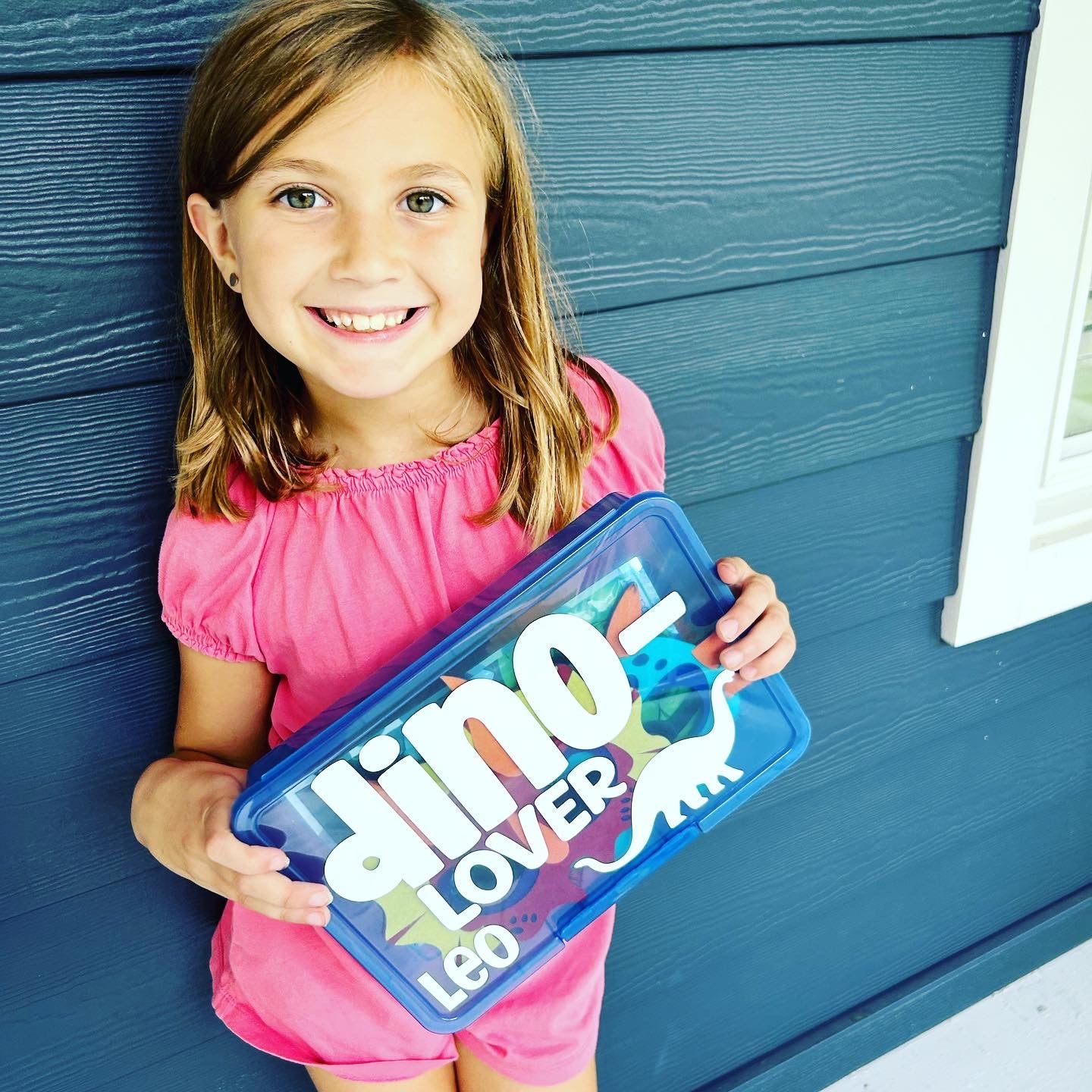 Dinosaur Activity Box