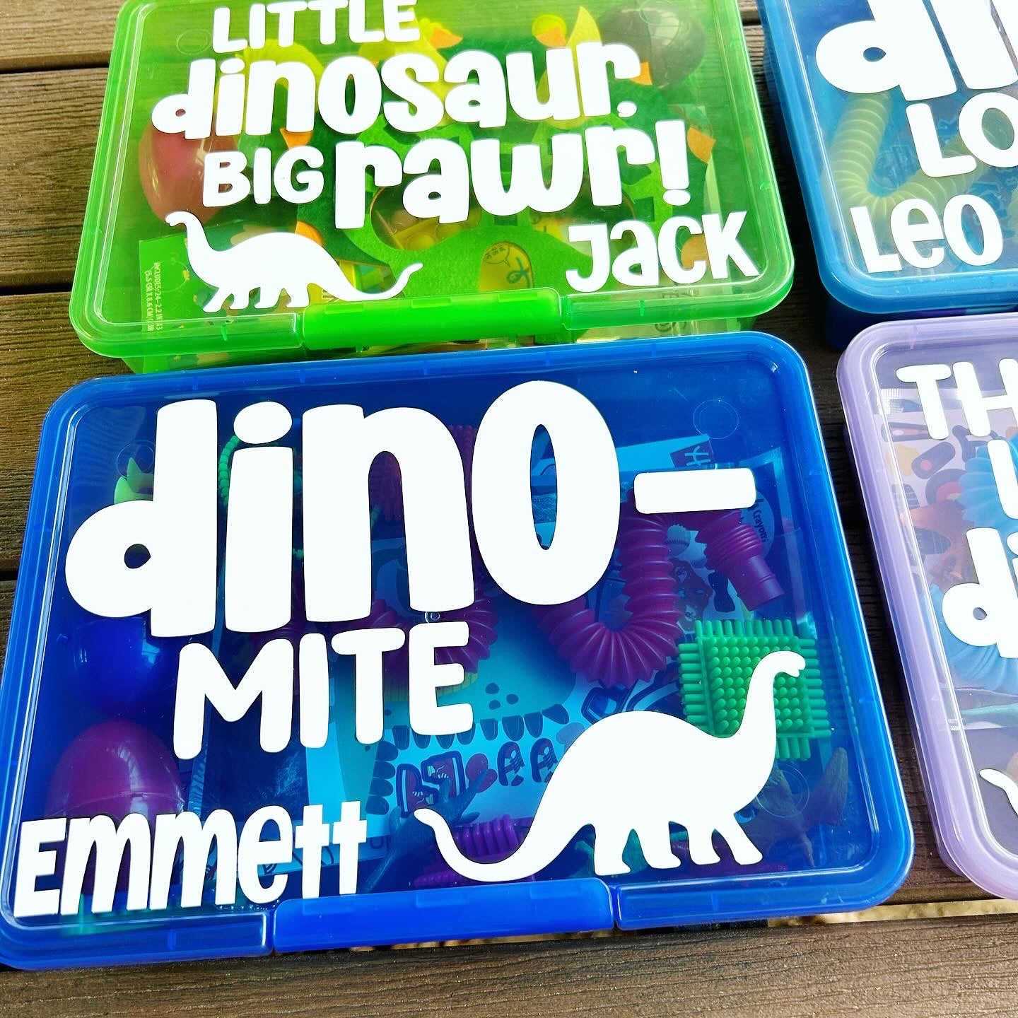 Dinosaur Activity Box