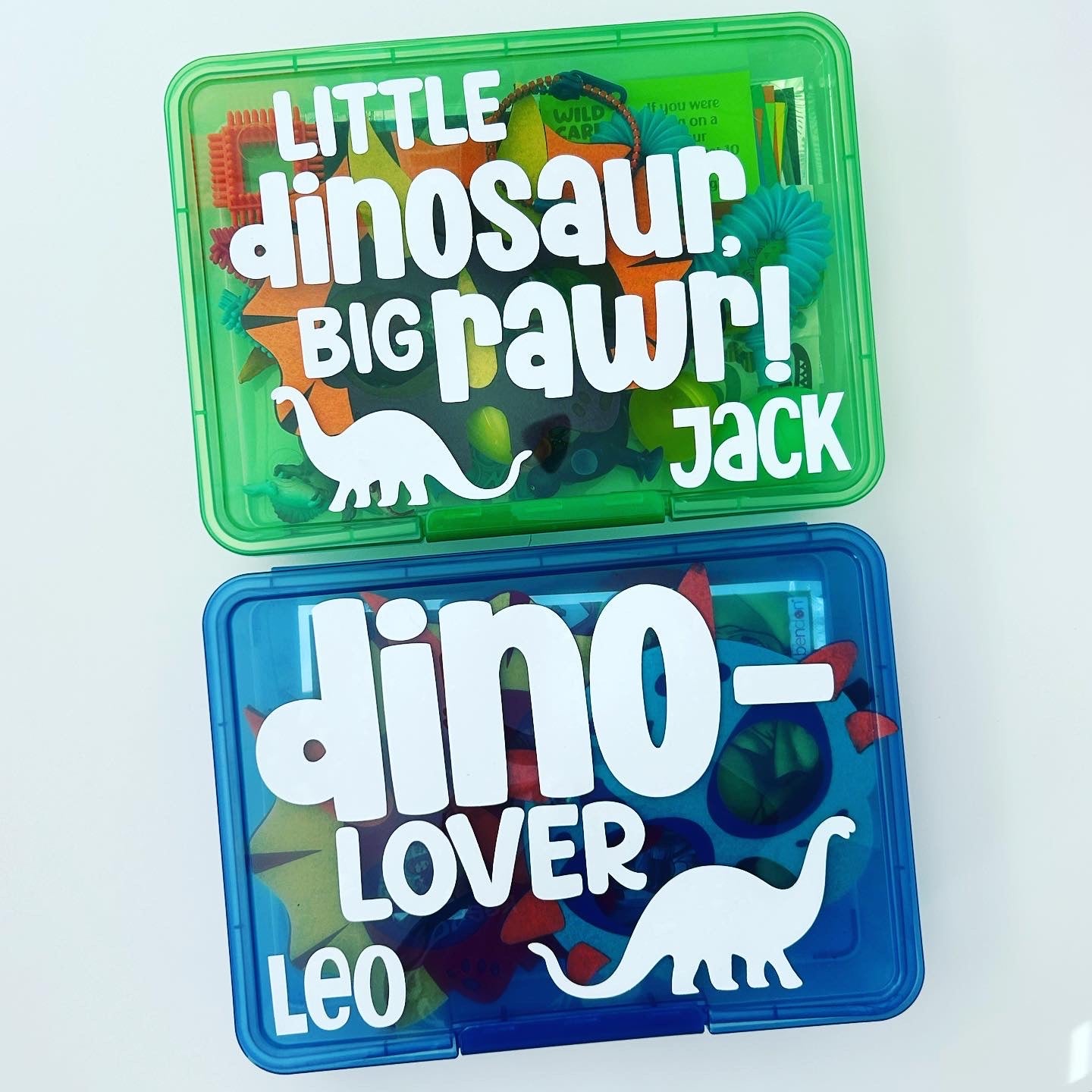 Dinosaur Activity Box