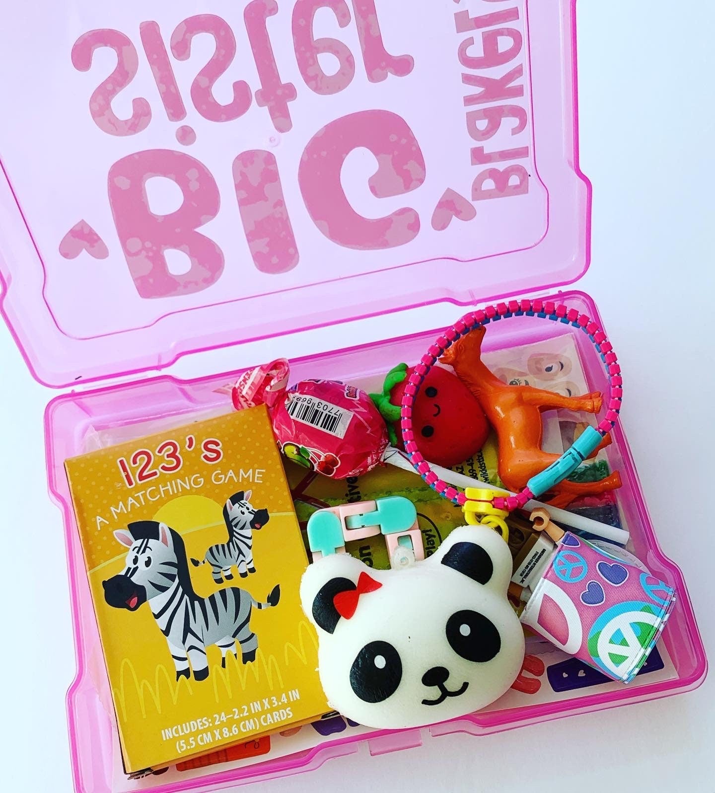 Big Brother Big Sister Busy Box (Mini)