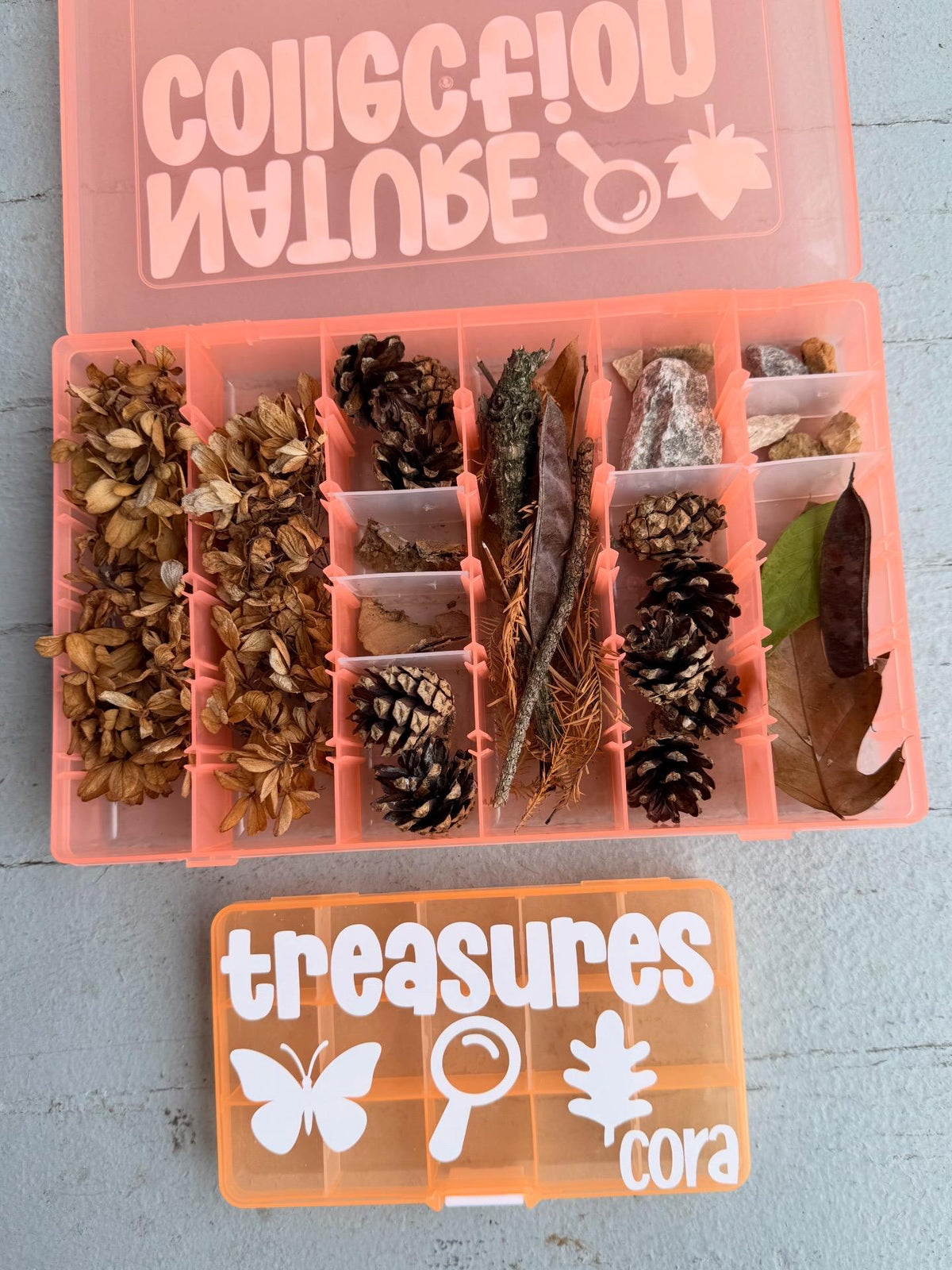 Nature Collection Box