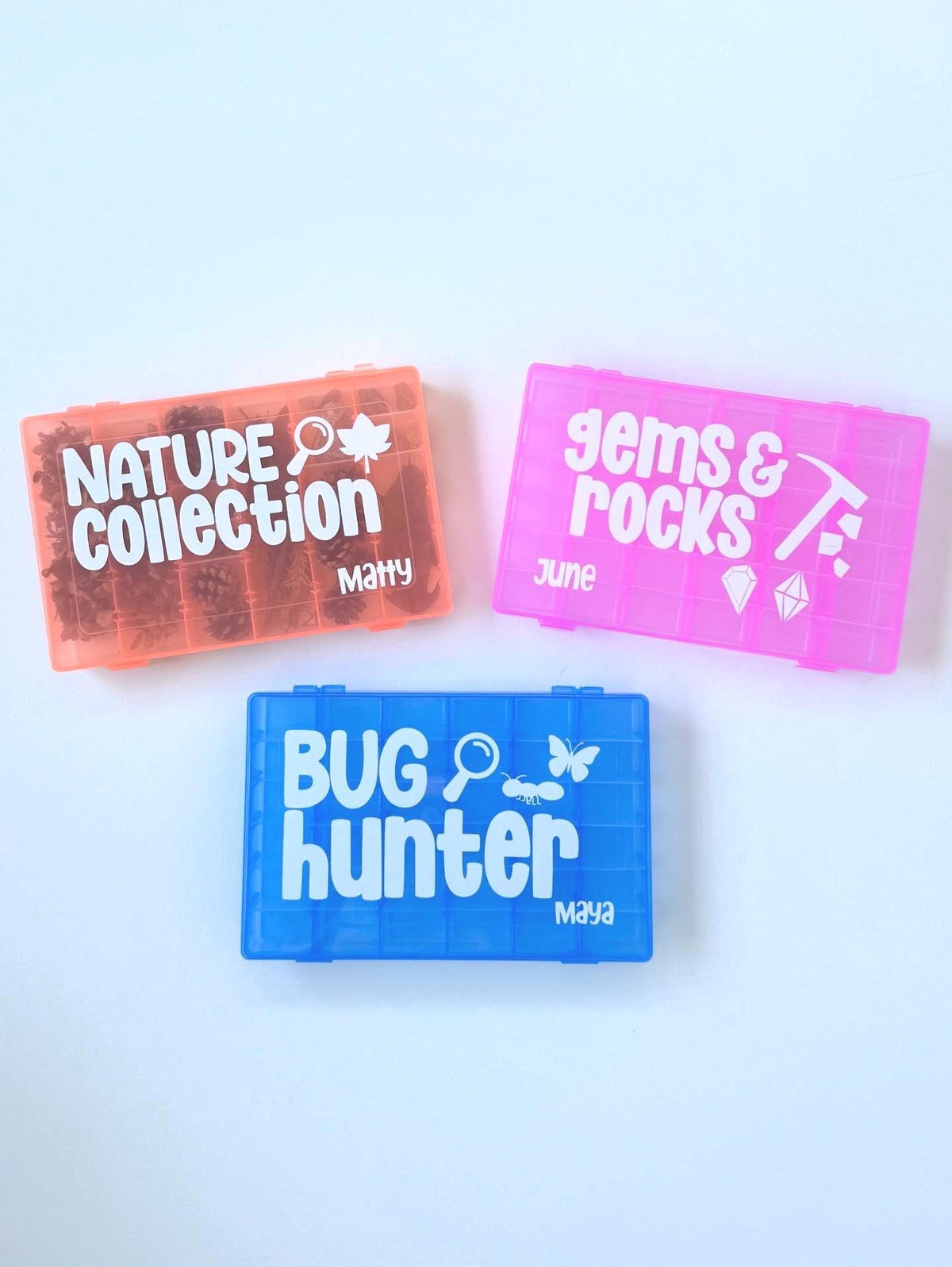 Nature Collection Box