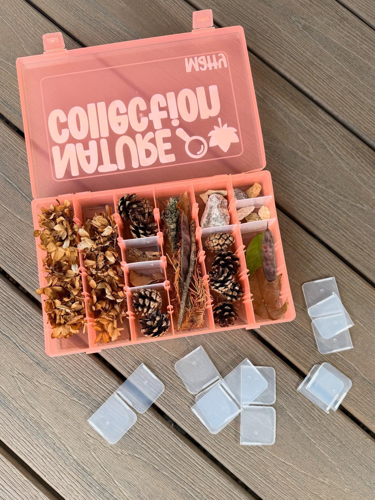 Nature Collection Box