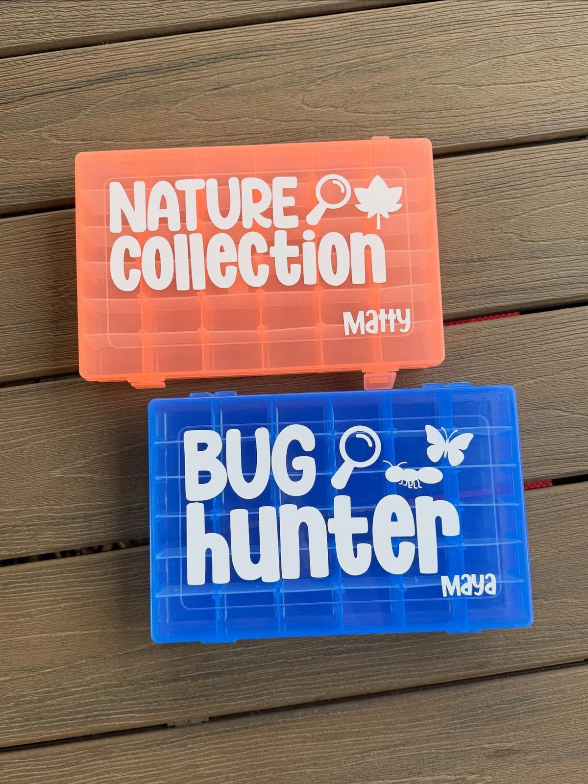 Nature Collection Box
