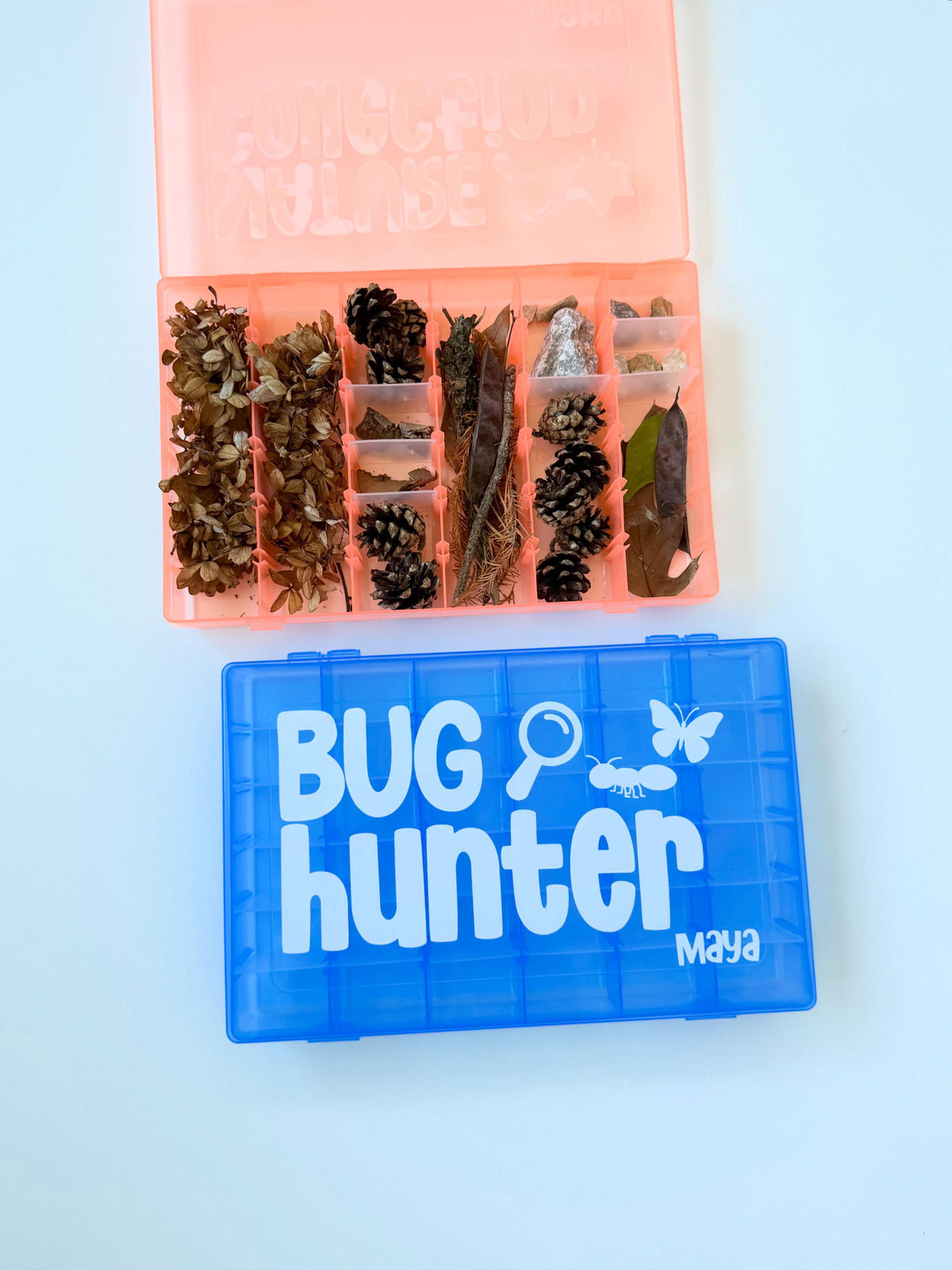 Nature Collection Box