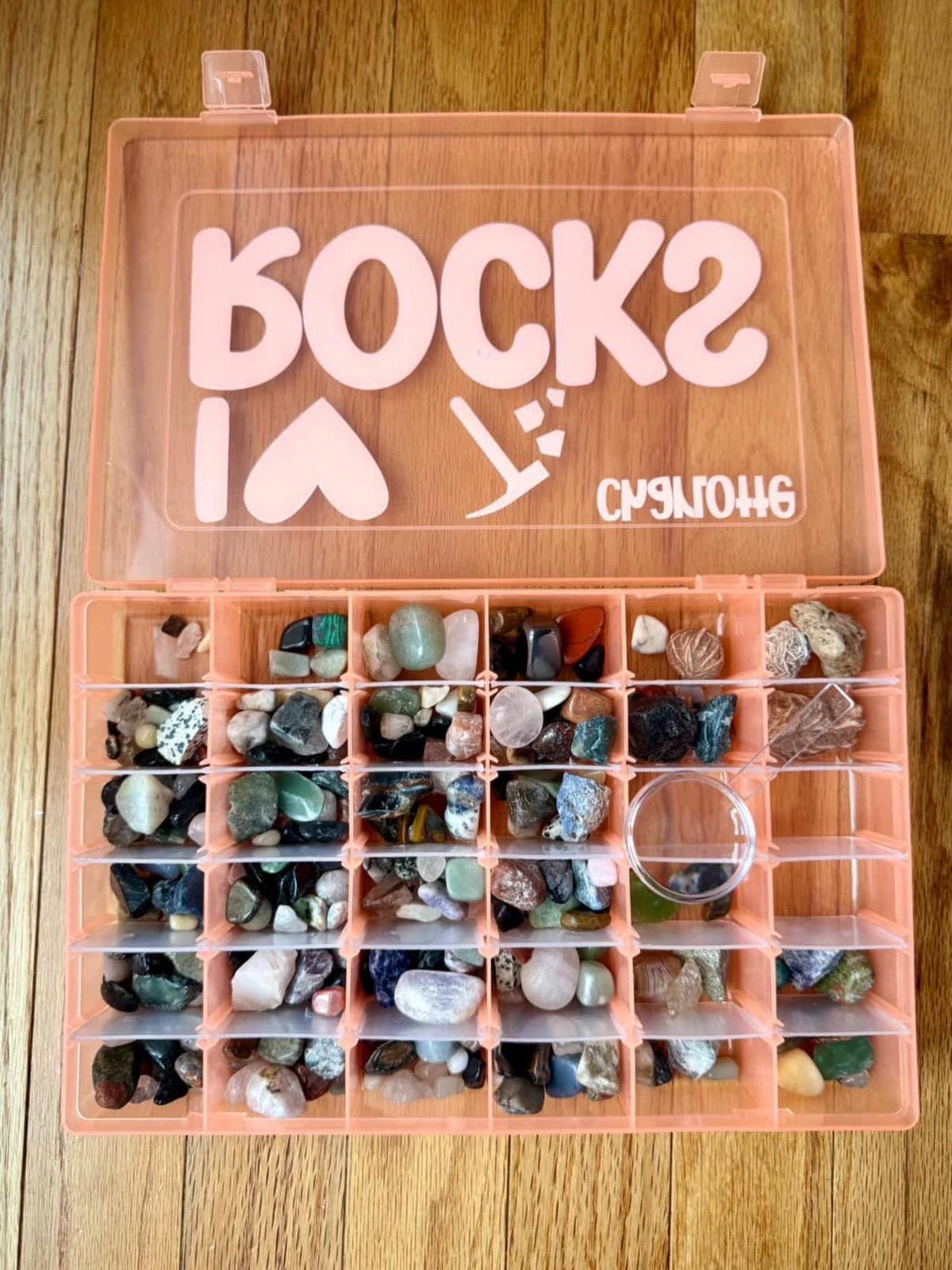 Nature Collection Box